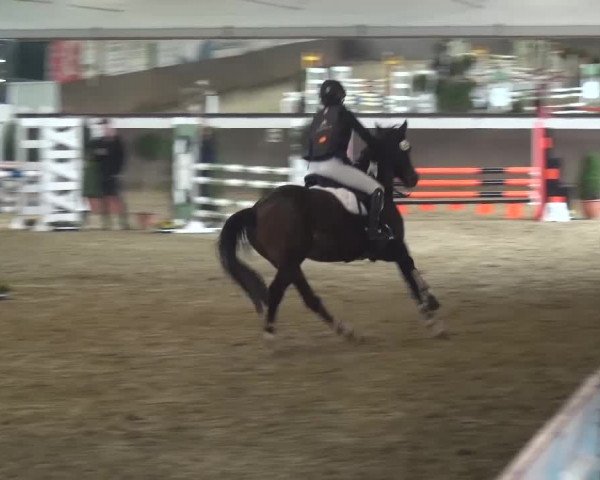 Reitturnier Jüchen-Waat 2017