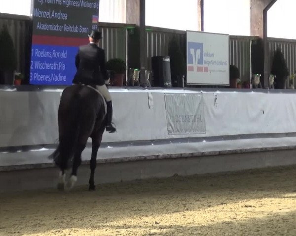 Reitturnier Lindlar-Süttenbach 2017