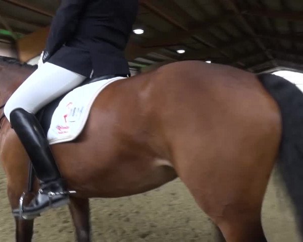 Reitturnier Lindlar-Süttenbach 2017