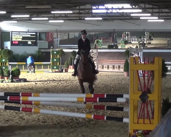 Reitturnier Jüchen-Waat 2017