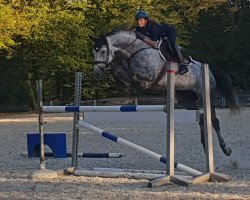 jumper Monsum's Mynou (unknown, 2009)