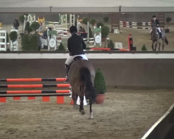 Reitturnier Jüchen-Waat 2017
