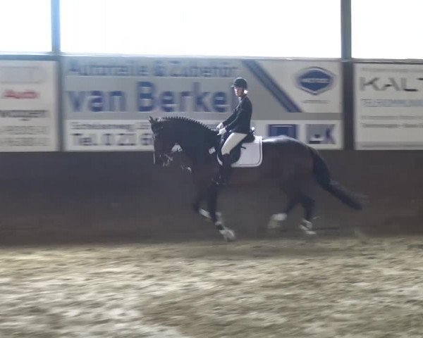 Reitturnier Jüchen-Waat 2017