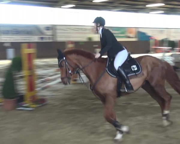 Reitturnier Jüchen-Waat 2017