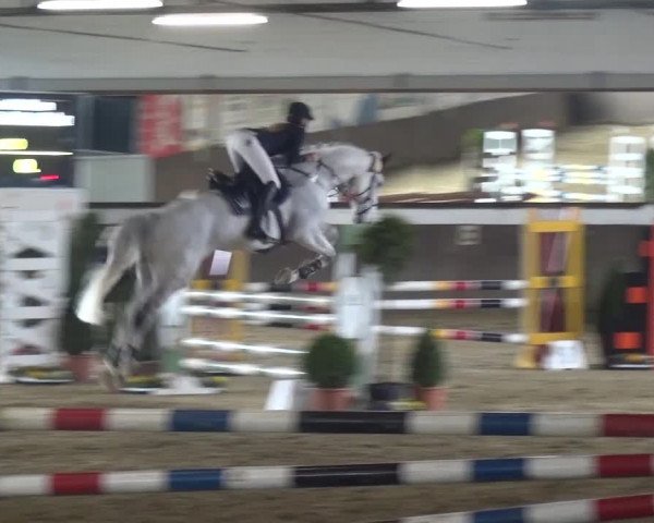Reitturnier Jüchen-Waat 2017