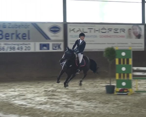 Reitturnier Jüchen-Waat 2017