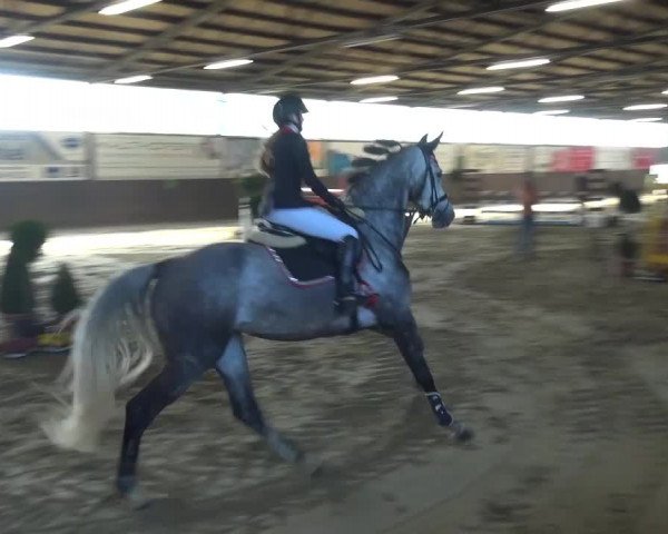 Reitturnier Jüchen-Waat 2017