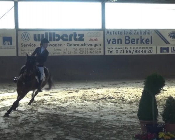 Reitturnier Jüchen-Waat 2017
