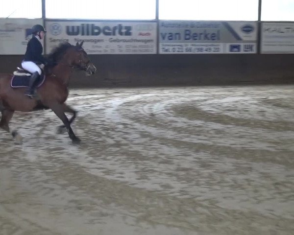 Reitturnier Jüchen-Waat 2017