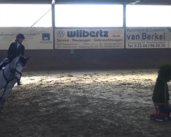 Reitturnier Jüchen-Waat 2017