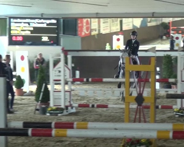 Reitturnier Jüchen-Waat 2017