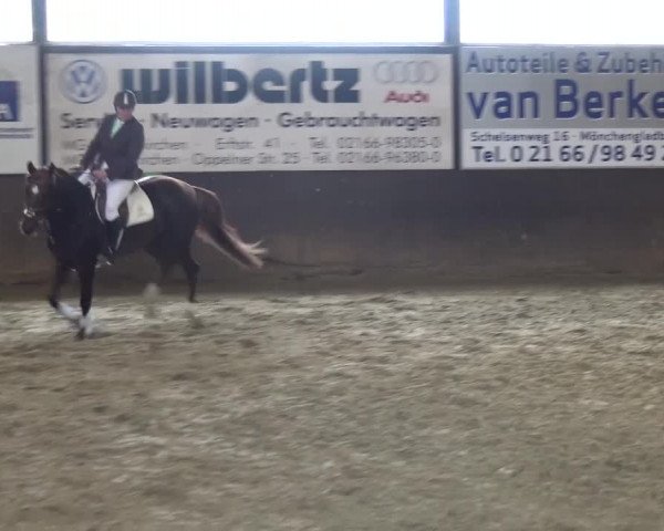 Reitturnier Jüchen-Waat 2017