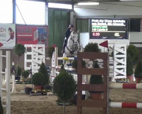 Reitturnier Jüchen-Waat 2017