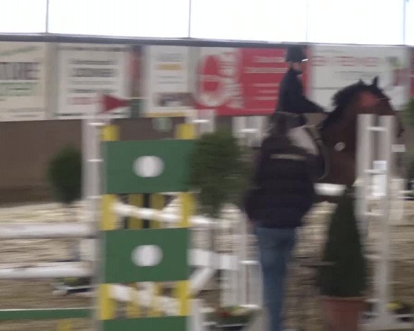 Reitturnier Jüchen-Waat 2017