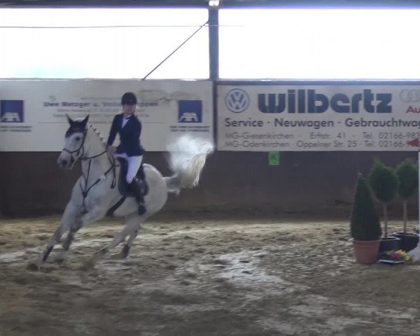 Reitturnier Jüchen-Waat 2017