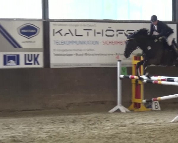 Reitturnier Jüchen-Waat 2017