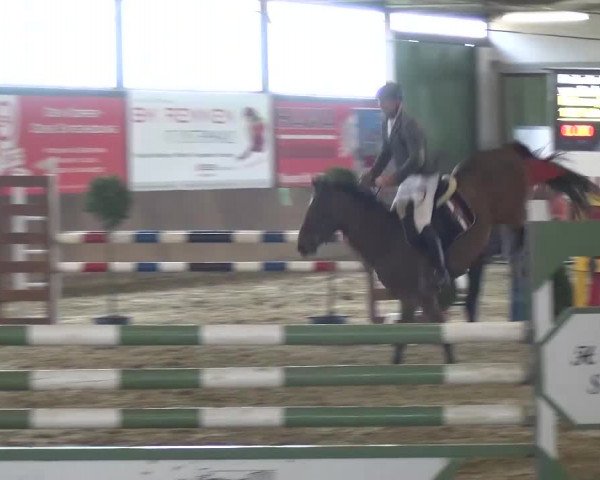 Reitturnier Jüchen-Waat 2017