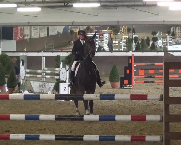 Reitturnier Jüchen-Waat 2017