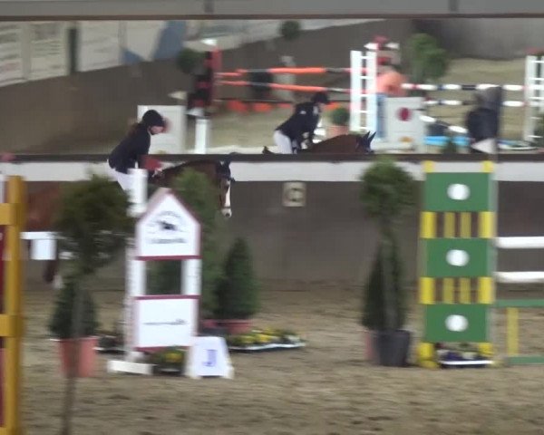 Reitturnier Jüchen-Waat 2017