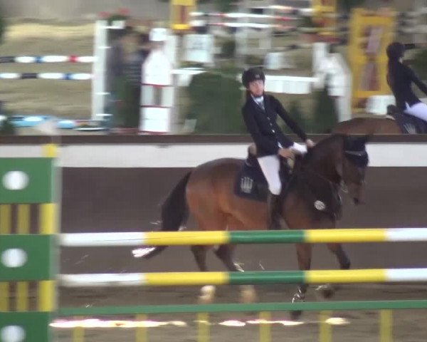 Reitturnier Jüchen-Waat 2017