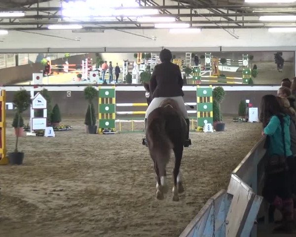Reitturnier Jüchen-Waat 2017