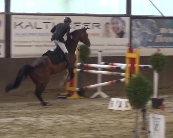 Reitturnier Jüchen-Waat 2017
