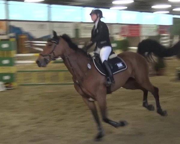 Reitturnier Jüchen-Waat 2017