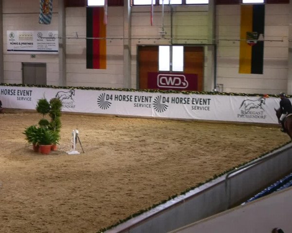 Christmas Jumping Trophy Prussendorf 2021