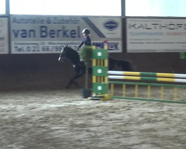 Reitturnier Jüchen-Waat 2017