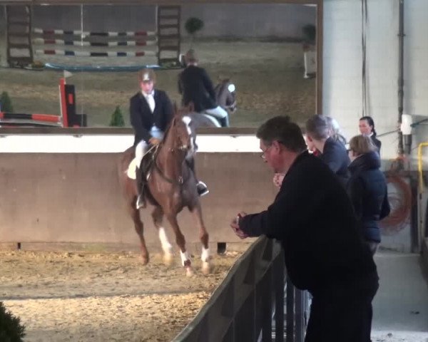 Reitturnier Jüchen-Waat 2017