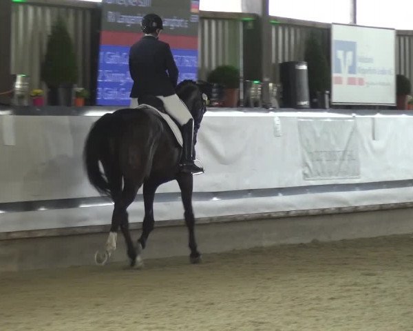 Reitturnier Lindlar-Süttenbach 2017