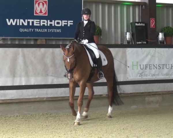 Reitturnier Lindlar-Süttenbach 2017