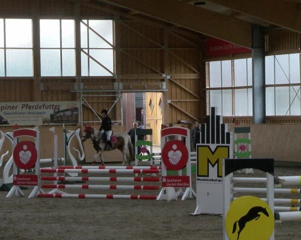 Reitturnier Polzow 2017