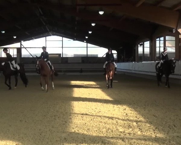 Reitturnier Lindlar-Süttenbach 2017