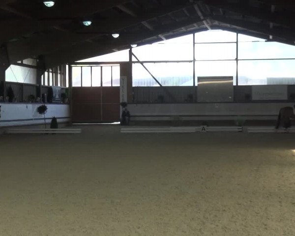 Reitturnier Lindlar-Süttenbach 2017