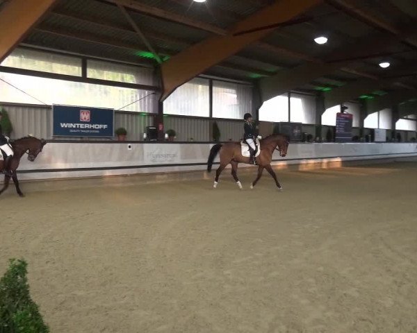 Reitturnier Lindlar-Süttenbach 2017