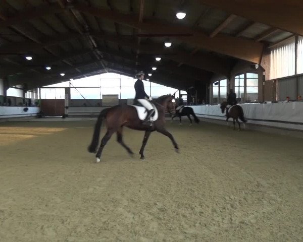 Reitturnier Lindlar-Süttenbach 2017