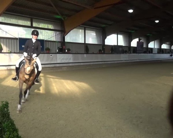 Reitturnier Lindlar-Süttenbach 2017