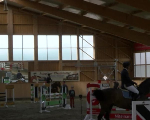 Reitturnier Polzow 2017