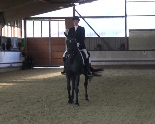 Reitturnier Lindlar-Süttenbach 2017