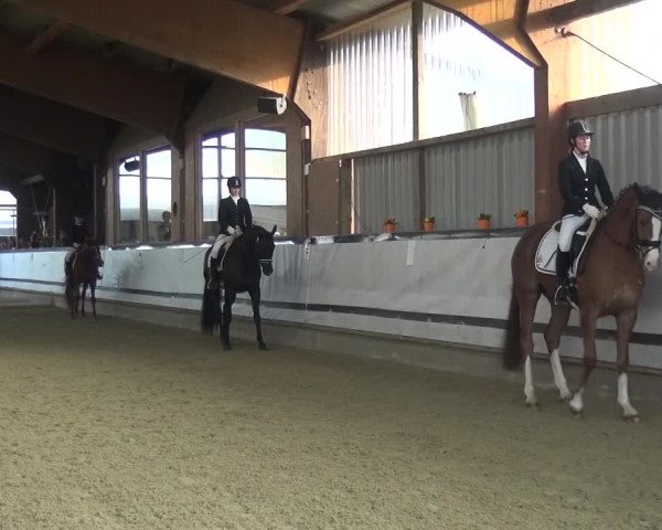 Reitturnier Lindlar-Süttenbach 2017