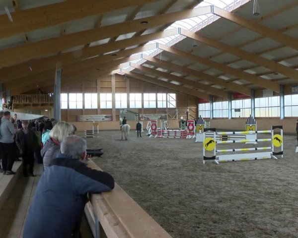 Reitturnier Polzow 2017