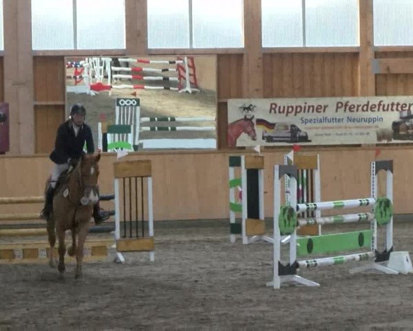 Reitturnier Polzow 2017