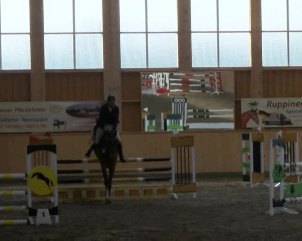Reitturnier Polzow 2017