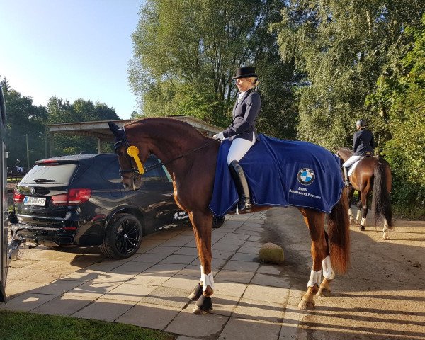 dressage horse Renaissance 86 (Westphalian, 2001, from Regazzoni)