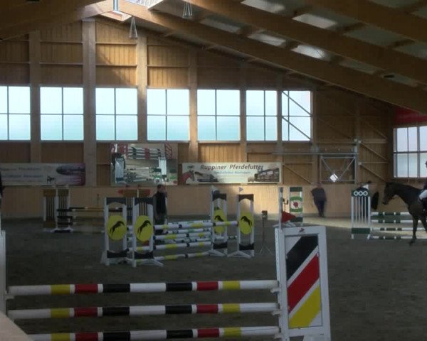 Reitturnier Polzow 2017