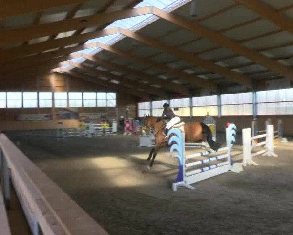 Reitturnier Polzow 2017