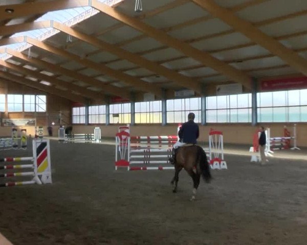 Reitturnier Polzow 2017
