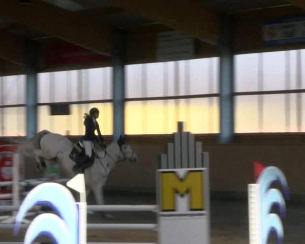 Reitturnier Polzow 2017