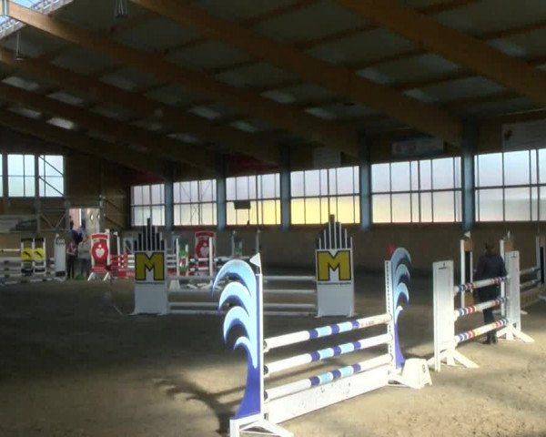 Reitturnier Polzow 2017